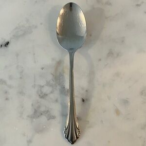 Stainless Serving Spoon